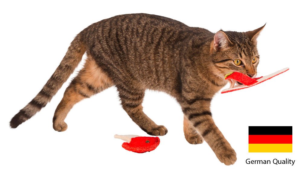 Kedi Catnip Oyuncağı