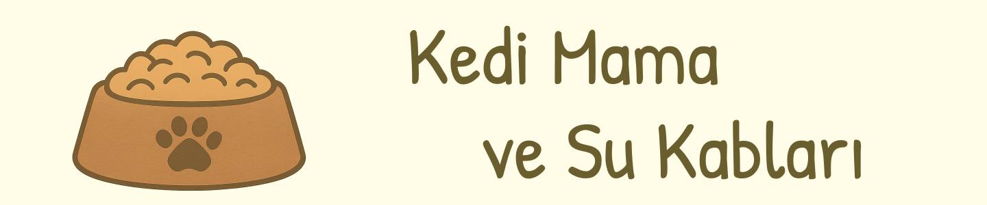 kedi mama ve su kapları