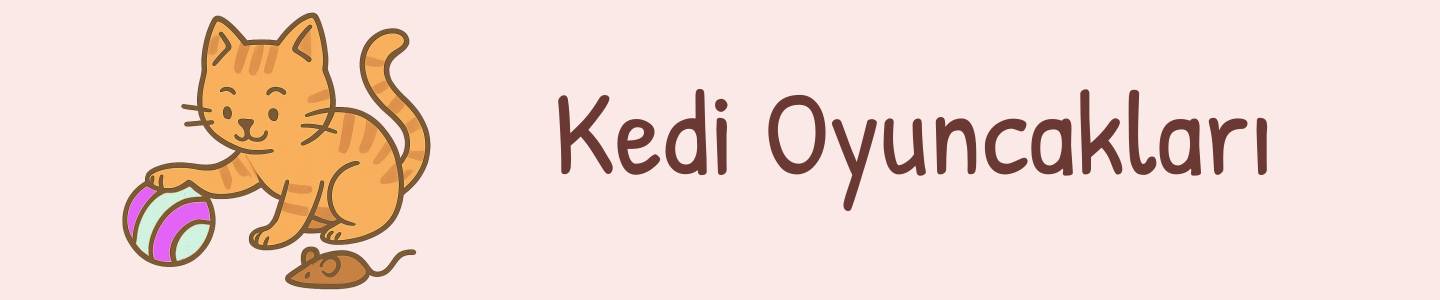 Kedi Oyuncakları