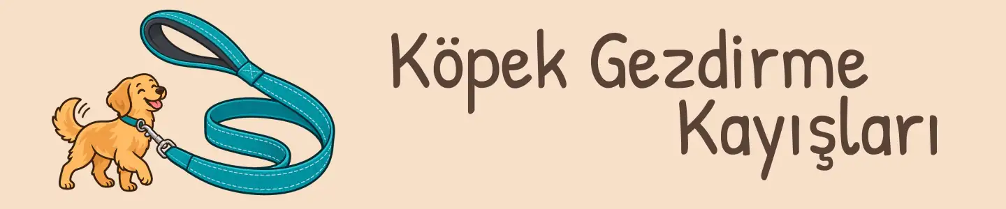 Köpek gezdirme kayışları kategorisi için turkuaz kayış ve köpek illüstrasyonu