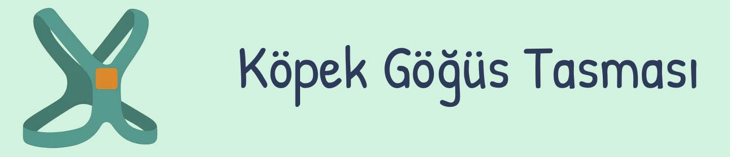 Köpek göğüs tasması