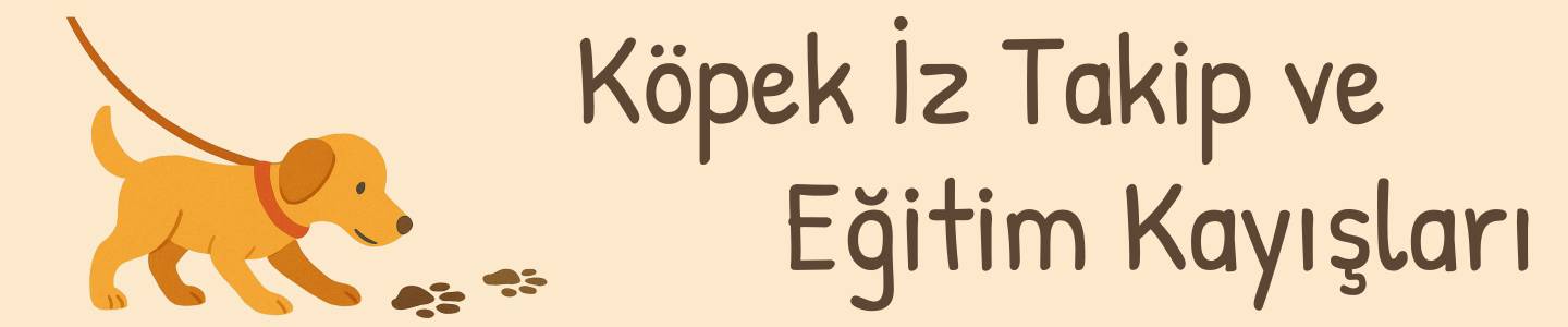 köpek iz takip ve eğitim kayışları