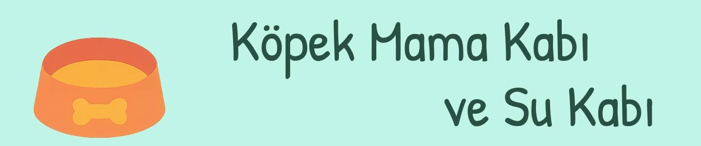 Köpek mama kabı ve su kabı