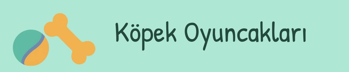 Köpek oyuncakları