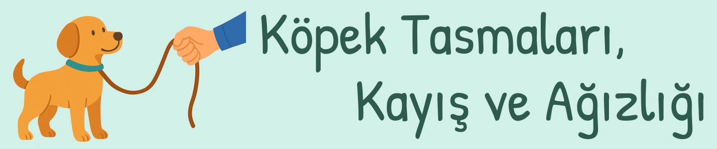 köpek tasmaları, kayış ve ağızlık