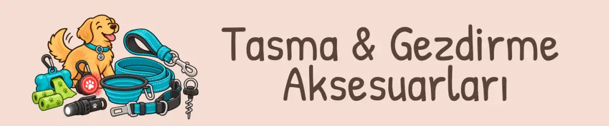 Köpek tasma ve gezdirme aksesuarları; LED ışık, kaka poşeti haznesi, kayış ve bağlama aparatları