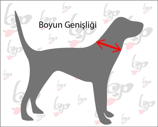 köpek boyun genişliği