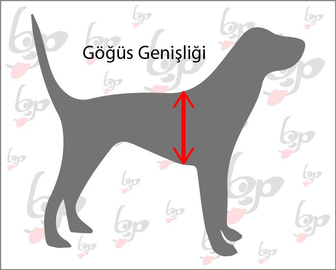 köpek göğüs genişliği nasıl alınır