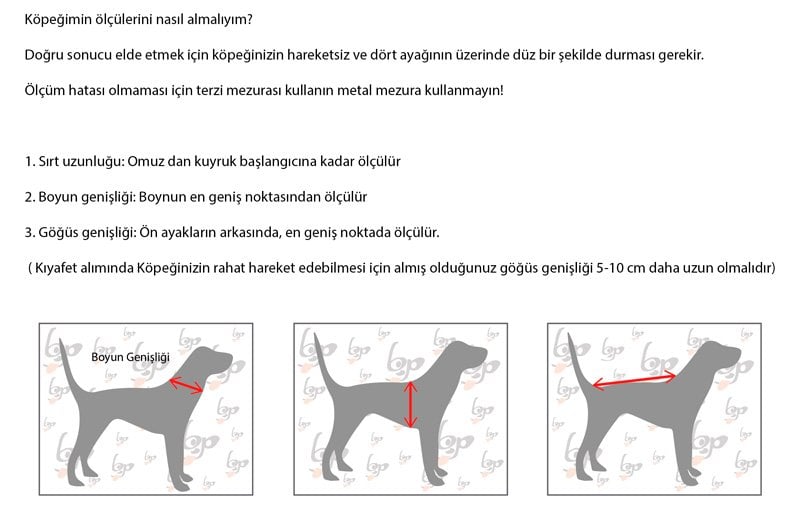 Köpeğimin Boyunu Nasıl Ölçmeliyim