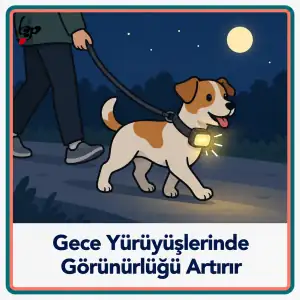 Köpek aksesuarında gece yürüyüşlerinde görünürlüğü artıran aydınlatma