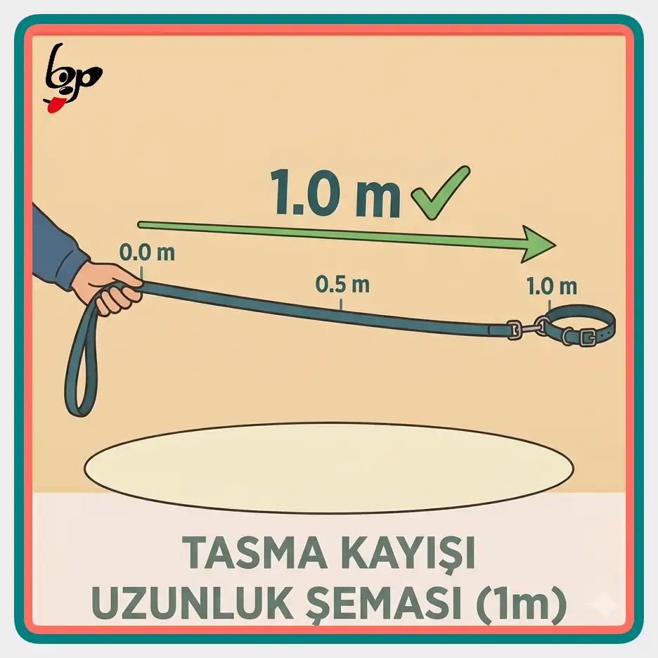 Kerbl 100 cm köpek gezdirme kayışı uzunluk özelliği