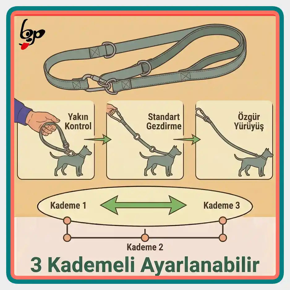 Kerbl köpek gezdirme kayışı 3 kademeli ayarlanabilir yapı