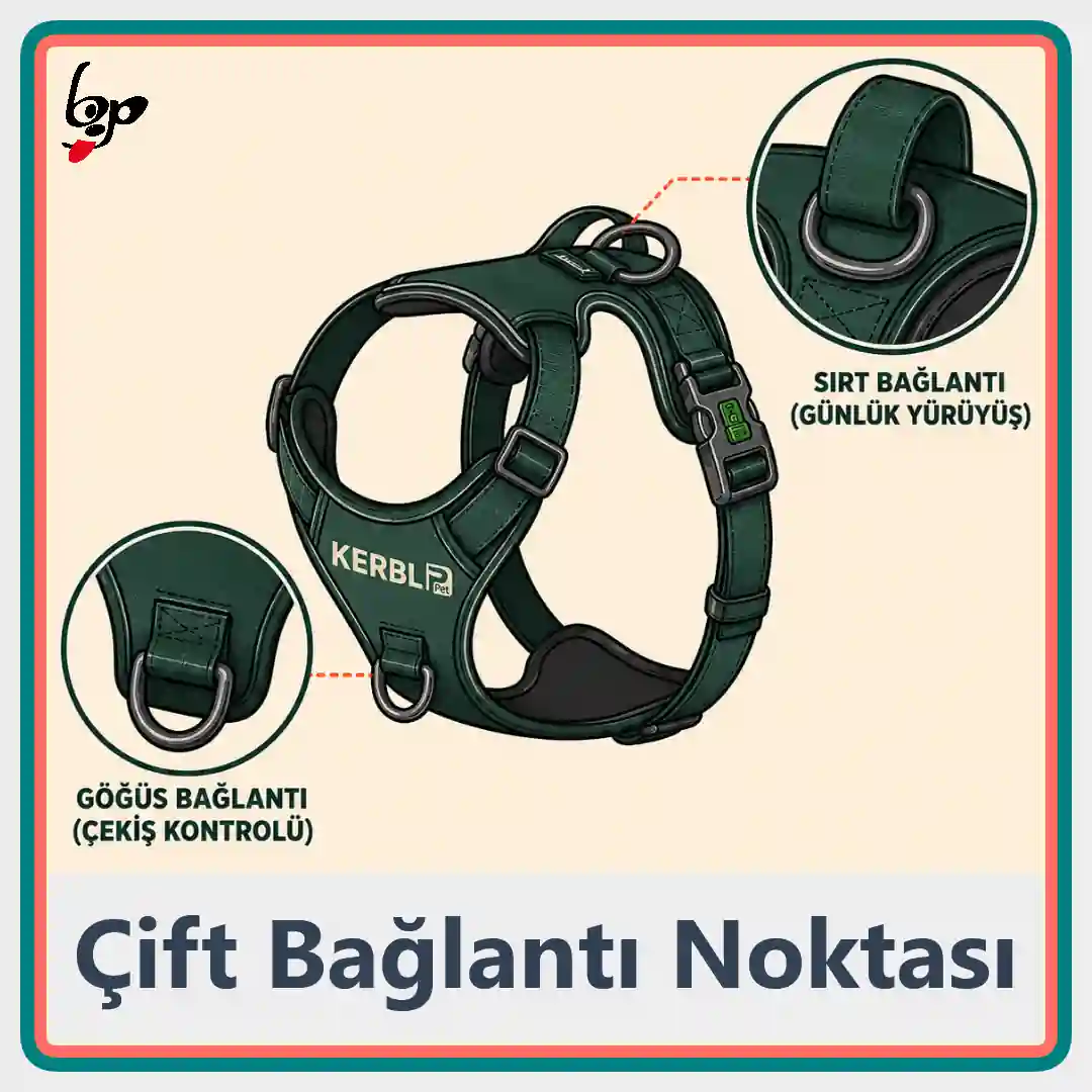 Kerbl Fitty köpek göğüs tasması göğüs ve sırt bağlantı noktaları