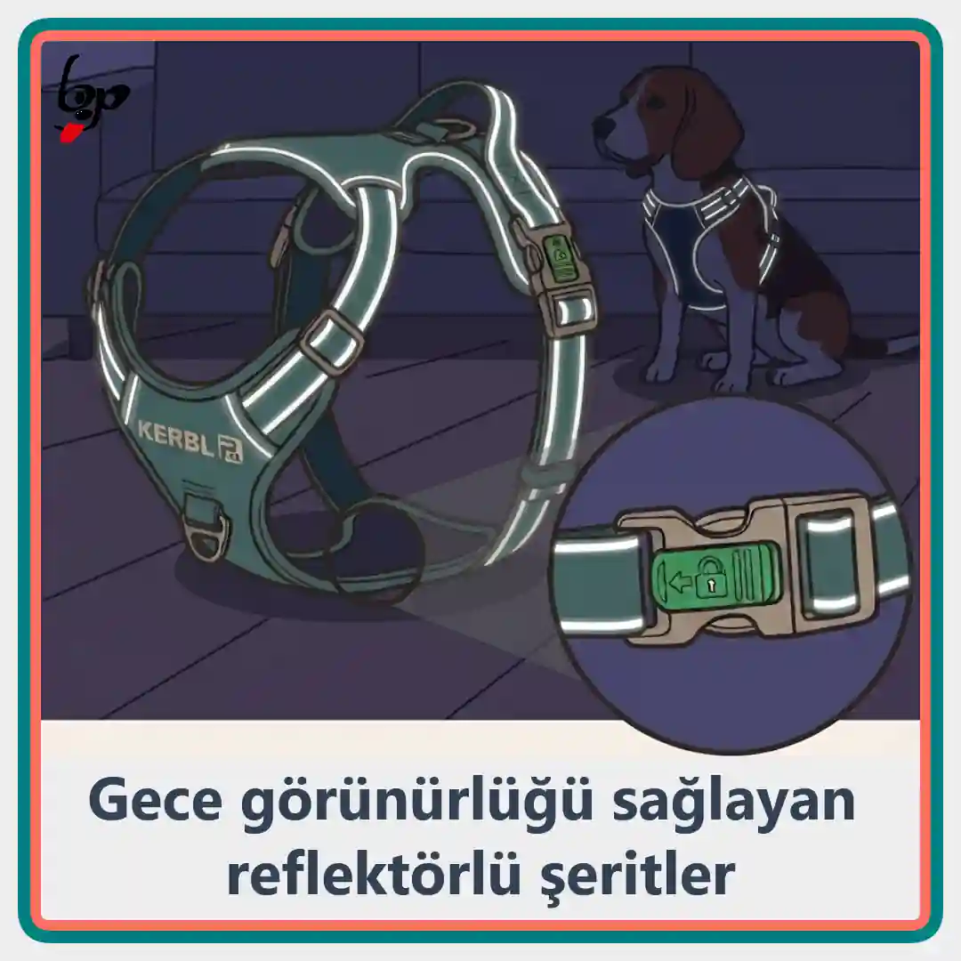 Köpek göğüs tasması gece görünürlüğünü artıran reflektörlü şeritler