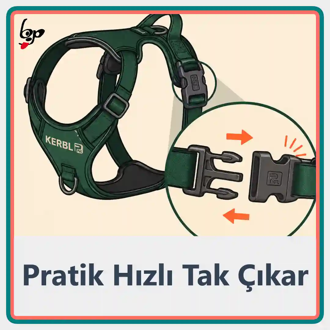 Kerbl Fitty köpek göğüs tasması klipsli takıp çıkarma özelliği