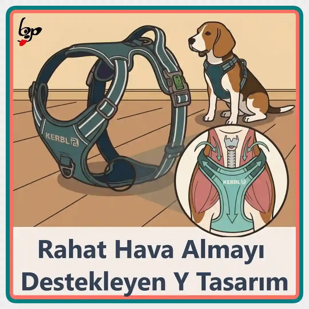 Kerbl Fitty sportif Y tipi köpek göğüs tasması tasarımı