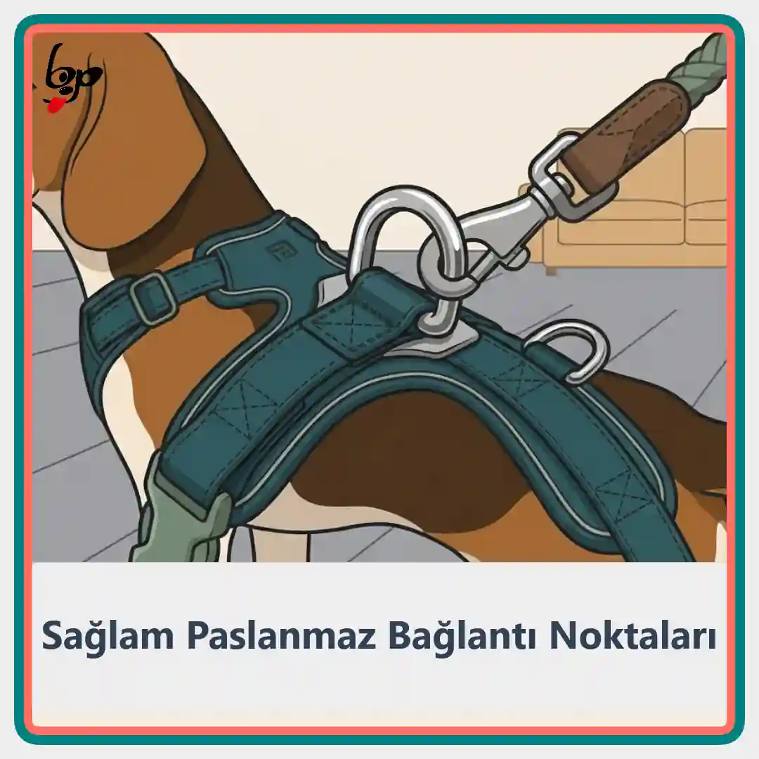 Kerbl Fitty köpek göğüs tasması bağlantı noktası detayı