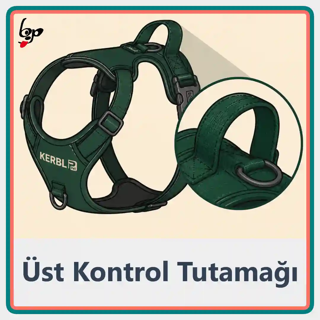 Kerbl Fitty köpek göğüs tasması üst kısa tutma noktası