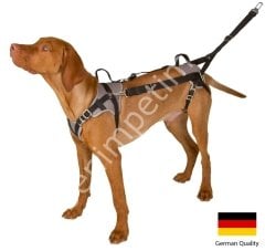 Security Köpek Tasması