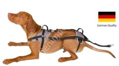 Security Köpek Tasması