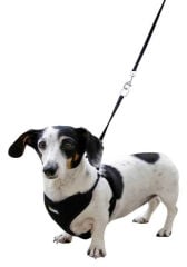 Kerbl Puppy Yavru Köpek Göğüs Tasması XS Siyah 24-44 cm