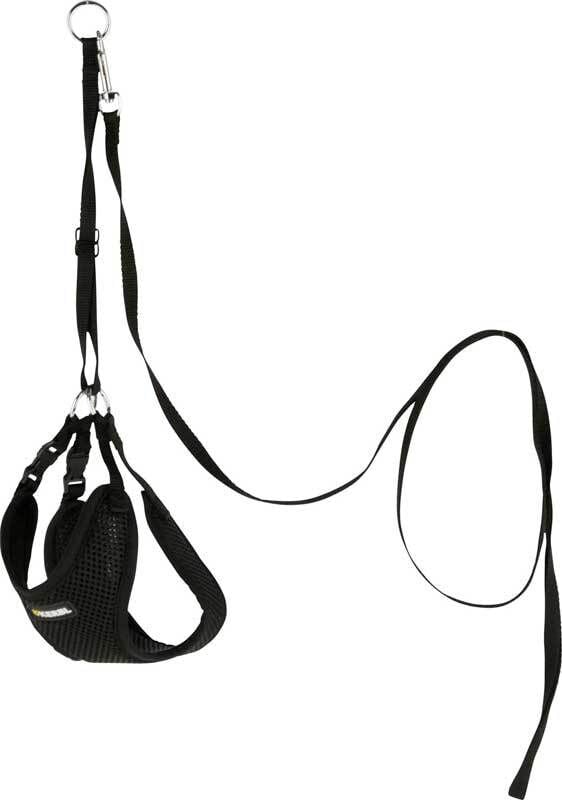24 cm - 44 cm Yavru Köpek Göğüs Tasması Siyah - XS