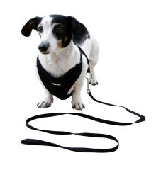 24 cm - 44 cm Yavru Köpek Göğüs Tasması Siyah - XS