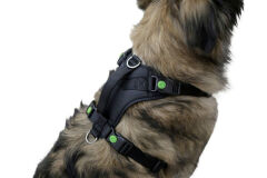 Kerbl Pulsive Köpek Göğüs Tasması M Siyah 46-60 cm