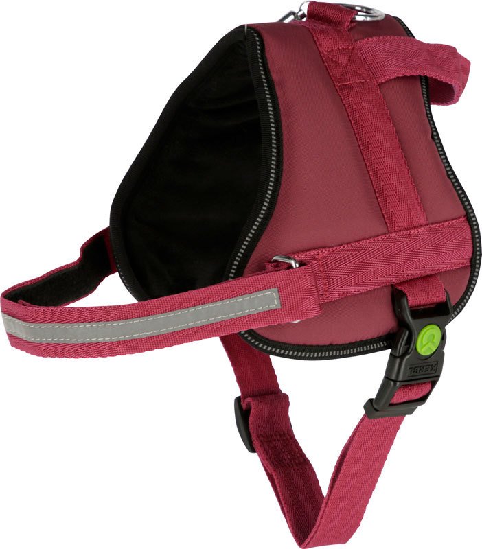 Köpek Belden Tasma Maestro 2.0 Bordo 64 - 90 cm - L