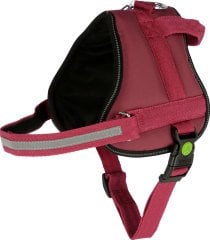 Köpek Belden Tasma Maestro 2.0 Bordo 83 cm - 113 cm - XXL