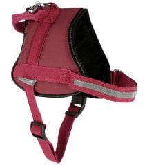 Kerbl Maestro 2.0 Köpek Göğüs Tasması XXL Bordo 83-113 cm