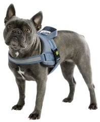Kerbl Maestro 2.0 M Petrol Mavisi Köpek Göğüs Tasması 57-77 cm