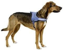 Kerbl Maestro 2.0 Köpek Göğüs Tasması L Petrol Mavisi 64-90 cm