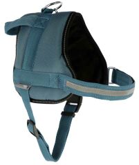 Belden Köpek Tasması Maestro 2.0 - L - 64-90 cm x 25 mm