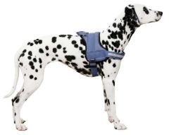 Belden Köpek Tasması Maestro 2.0 - L - 64-90 cm x 25 mm