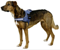 Kerbl Maestro 2.0 Köpek Göğüs Tasması L Petrol Mavisi 64-90 cm