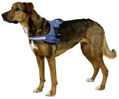 Belden Köpek Tasması Maestro 2.0 - XXL - 83-113 cm x 38 mm