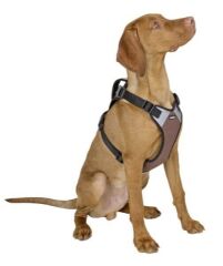Kerbl Pulsive Köpek Göğüs Tasması XL Siyah-Kahve 72-96 cm