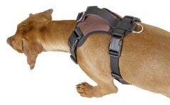 Kerbl Pulsive Köpek Göğüs Tasması XL Siyah-Kahve 72-96 cm
