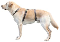 Köpek Sırt Tasması Kaçış Önleyici  42 cm - 55 cm - M