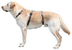 Kerbl Miami Kaçış Önleyici Köpek Sırt Tasması L Gri 55-74 cm