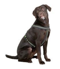 Kerbl Xenos Reflektörlü Kilitli Köpek Sırt Tasması XL Siyah Neon Sarı 50-80 cm