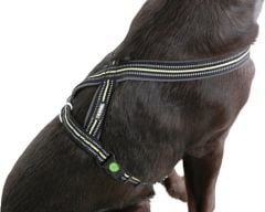 Kerbl Xenos Reflektörlü Kilitli Köpek Sırt Tasması L Siyah Neon Sarı 40-60 cm