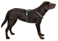 Kerbl Xenos Reflektörlü Kilitli Köpek Sırt Tasması L Siyah Neon Sarı 40-60 cm