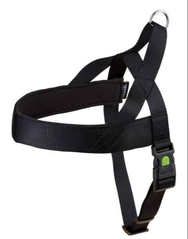 Köpek Bel Tasması Siyah [Norveç Tipi] 70 - 90cm - L