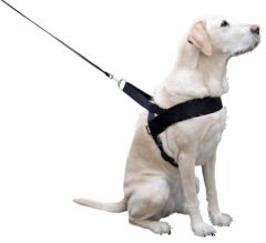 Köpek Bel Tasması Siyah [Norveç Tipi] 65 - 85 cm - M