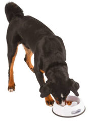 Köpek Yavaş Yeme Kabı Plastik 1000 ml