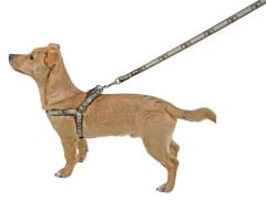 Kerbl Wild Life Köpek Göğüs Tasması M Kahverengi-Turkuaz 35-60 cm