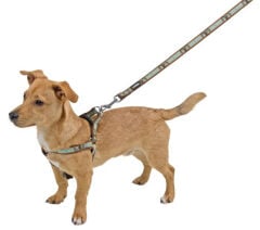 Kerbl Wild Life Köpek Göğüs Tasması M Kahverengi-Turkuaz 35-60 cm