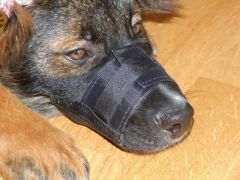Köpek Ağızlığı Muzzle Nylon 20 – 26 cm